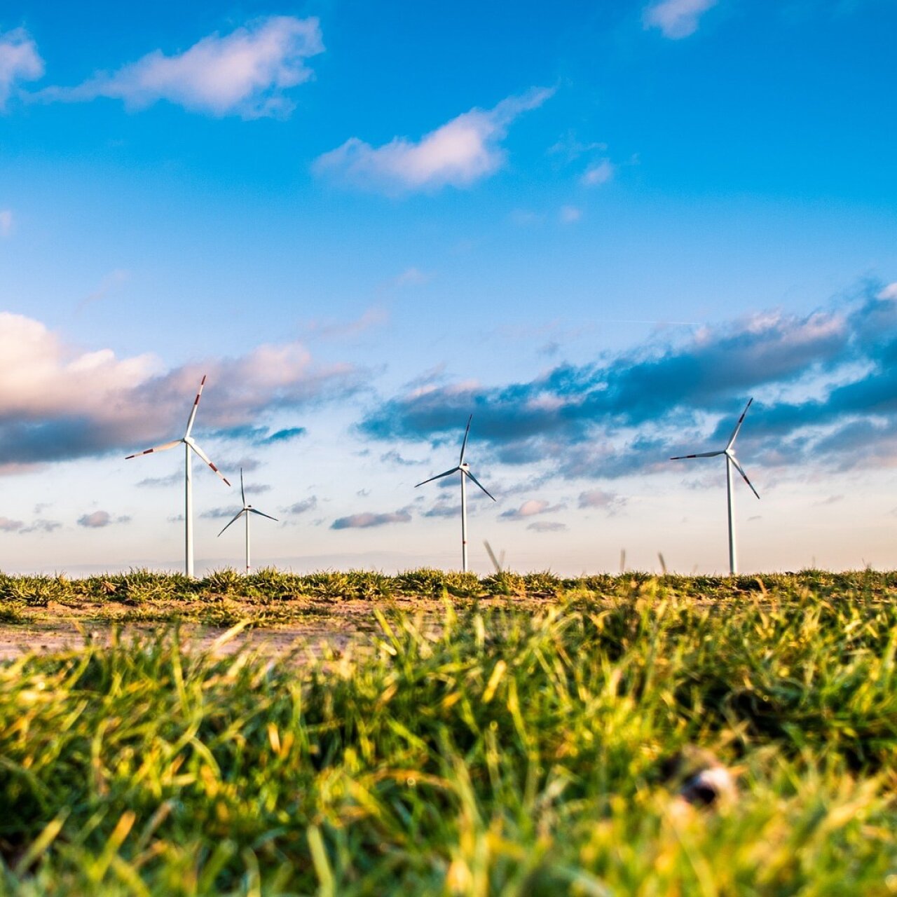 Aktuelles Bild: Informationsveranstaltung Windparkvorhaben